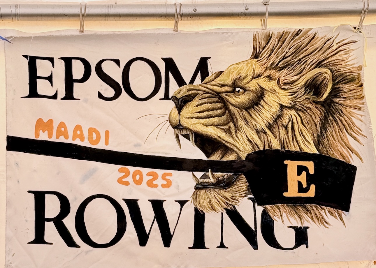 Picture of finished EGGS Rowing Maadi Flah with Lion painting by Amanda Horne